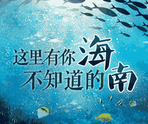 //d1.sina.com.cn/201604/11/1414925.gif