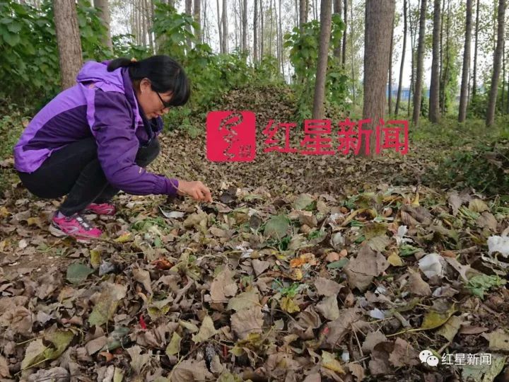 女硕士从海外回农村捡垃圾 认识北京一半收破烂的