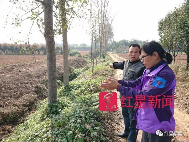 女硕士从海外回农村捡垃圾 认识北京一半收破烂的