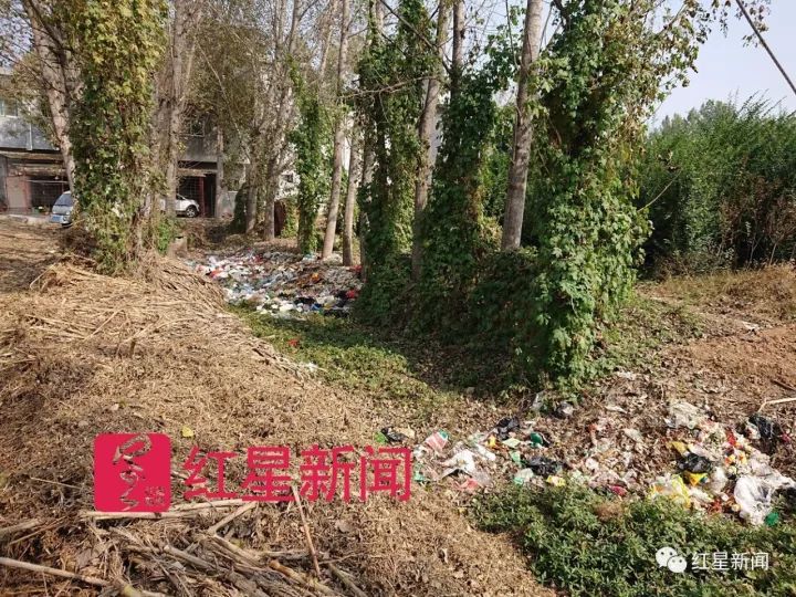 女硕士从海外回农村捡垃圾 认识北京一半收破烂的