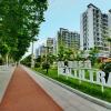 山西侯马：把整个城市建成一座大公园